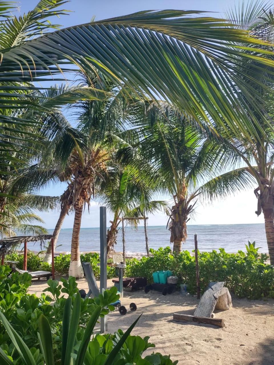 Lunazul Eco-Cabana Frente Al Mar Mahahual Exterior foto
