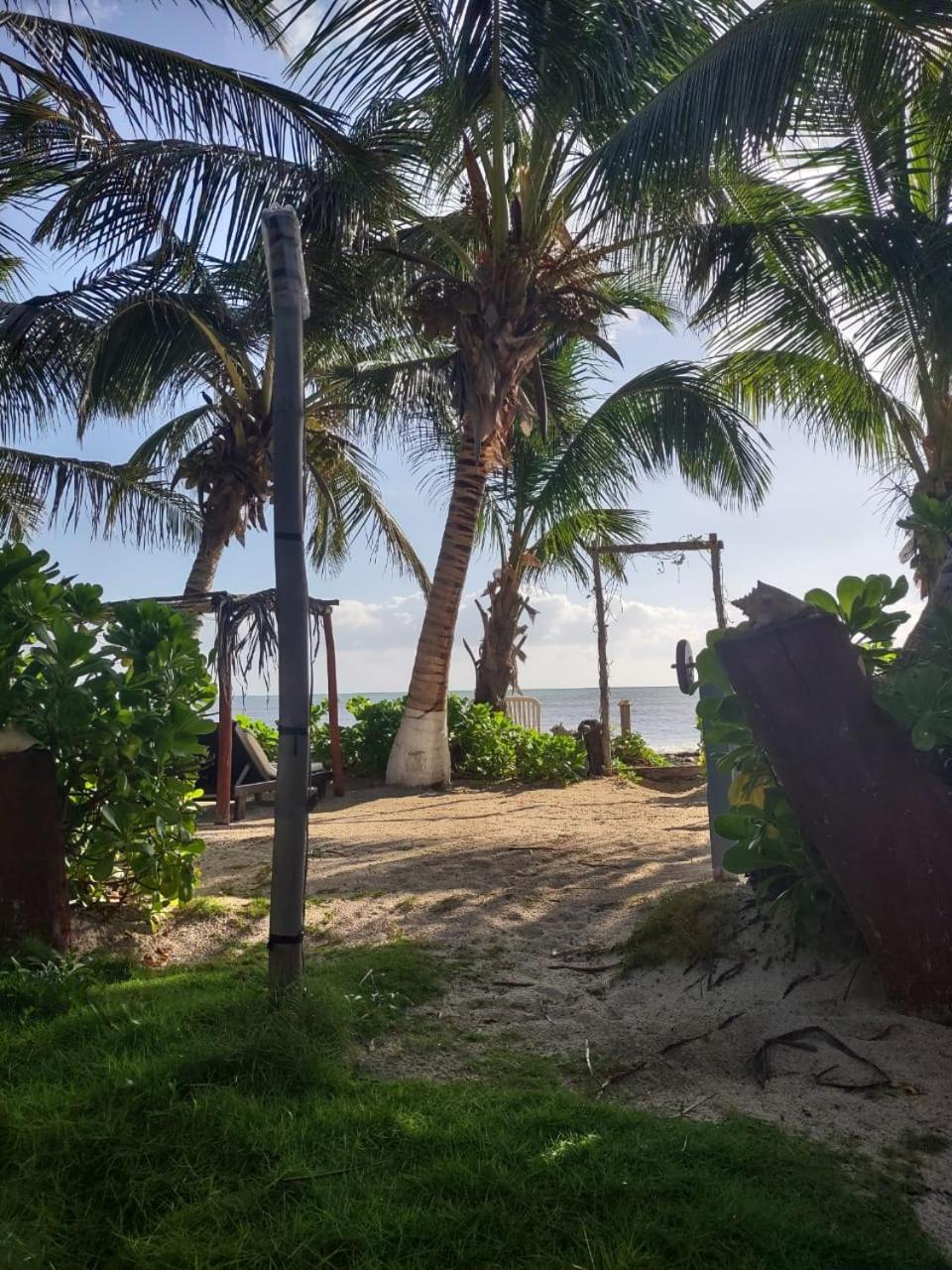 Lunazul Eco-Cabana Frente Al Mar Mahahual Exterior foto