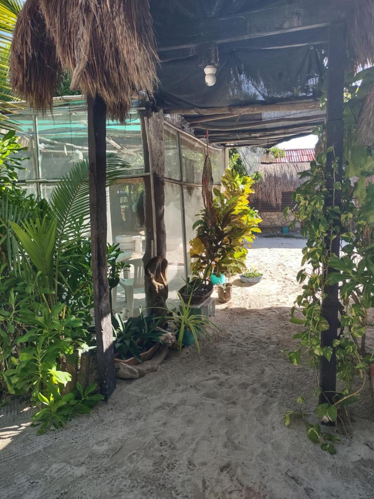 Lunazul Eco-Cabana Frente Al Mar Mahahual Exterior foto